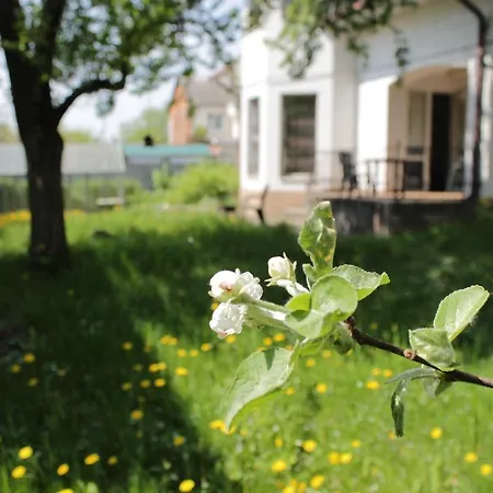 Jasmin Guest house *