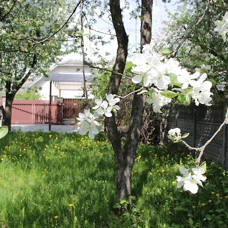 Guest house Jasmin Minsk