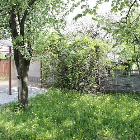 Jasmin Minsk