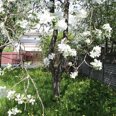 Guest house Jasmin