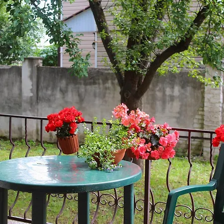 Jasmin Minsk