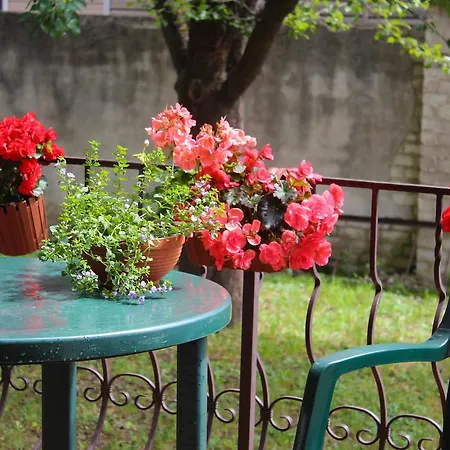 Jasmin Guest house *
